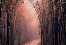 黑贝大爆发，一人挑倒全队！网队喜获胜利