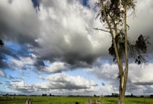 皇家马德里横扫贝尔格莱德红星队