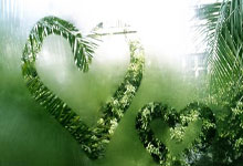 曼城风生水起，夺取联赛冠军向欧洲之巅迈进