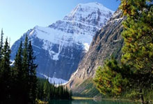 斯图加特战胜对手，表现令人钦佩