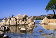 雄鹿力克马刺，提升季后赛赔率