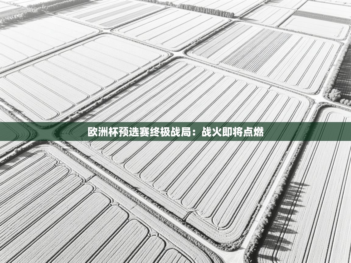 欧洲杯预选赛终极战局：战火即将点燃