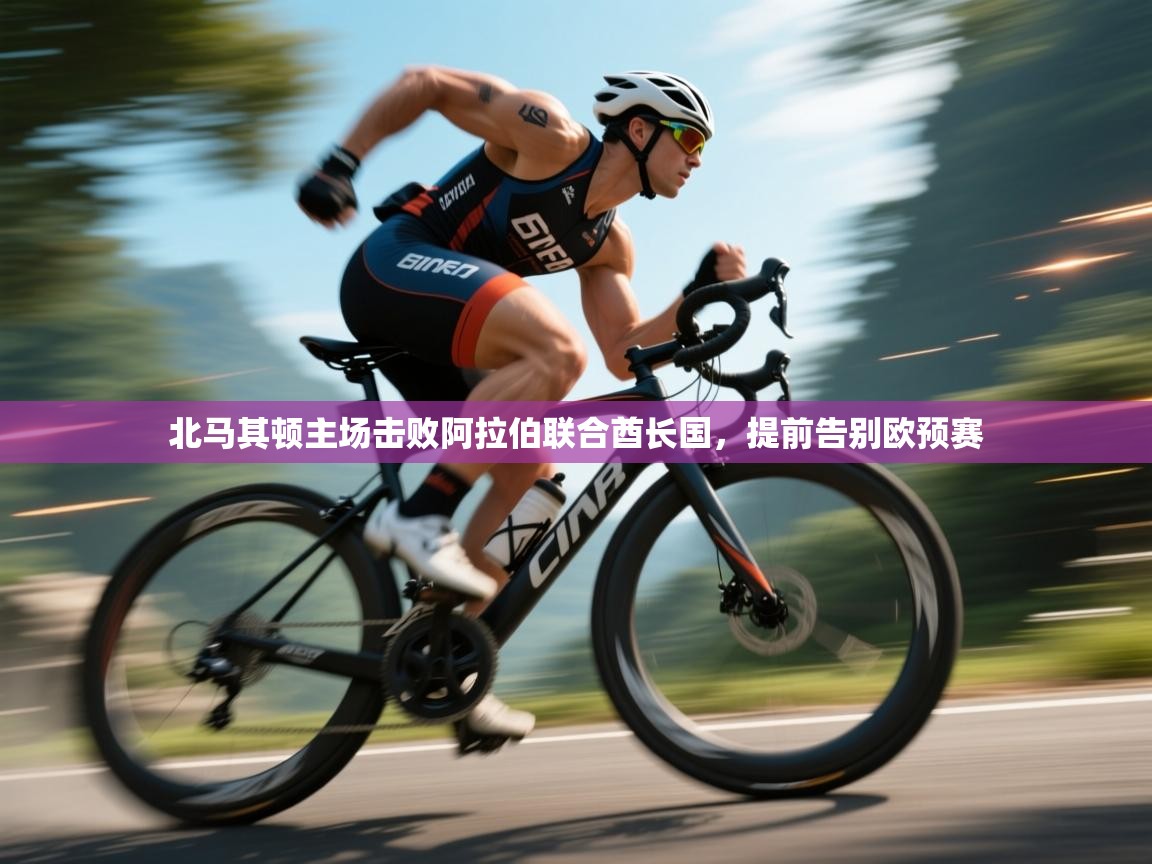 北马其顿主场击败阿拉伯联合酋长国,提前告别欧预赛 第2张